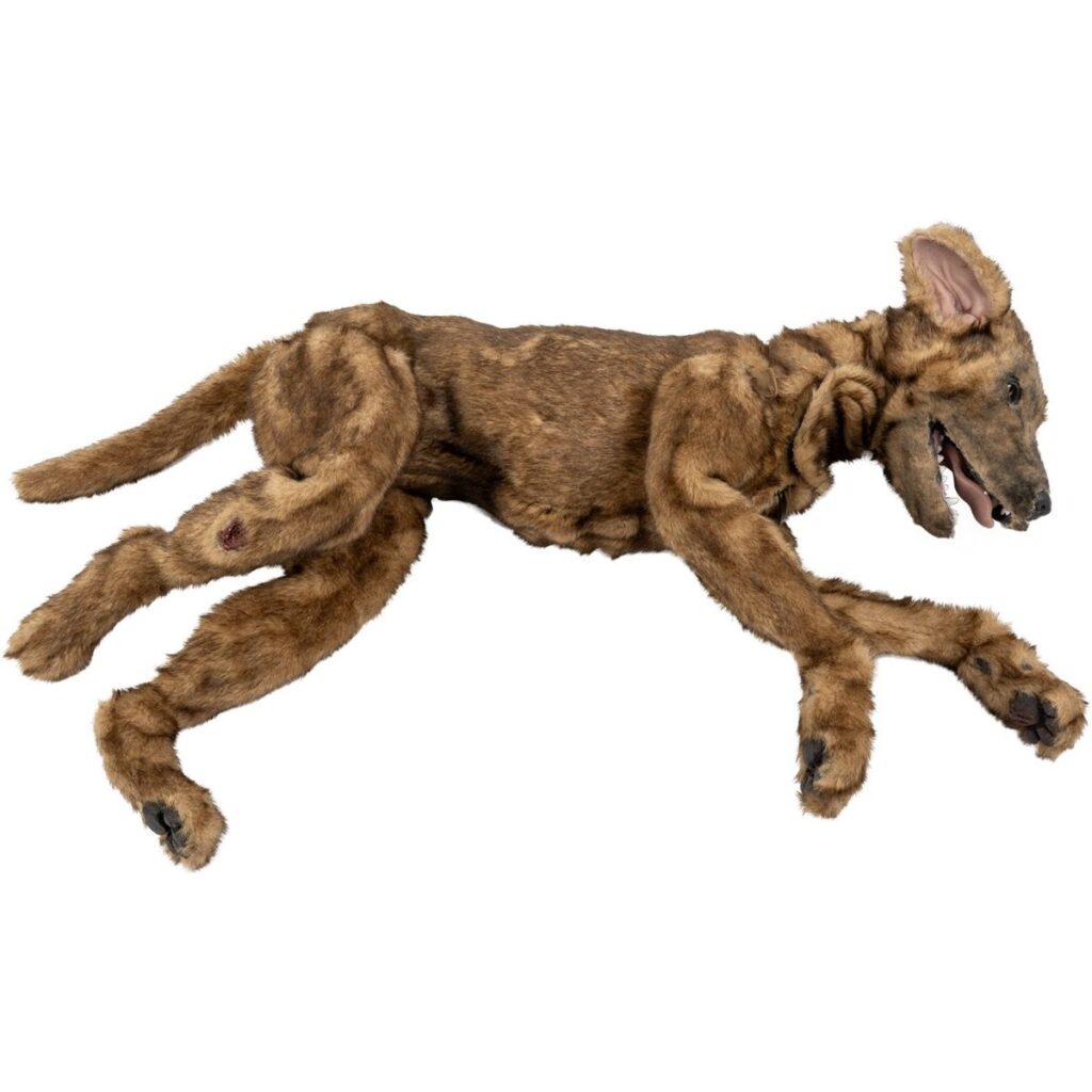 K 9 Medical Simulator